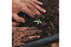 Image Image